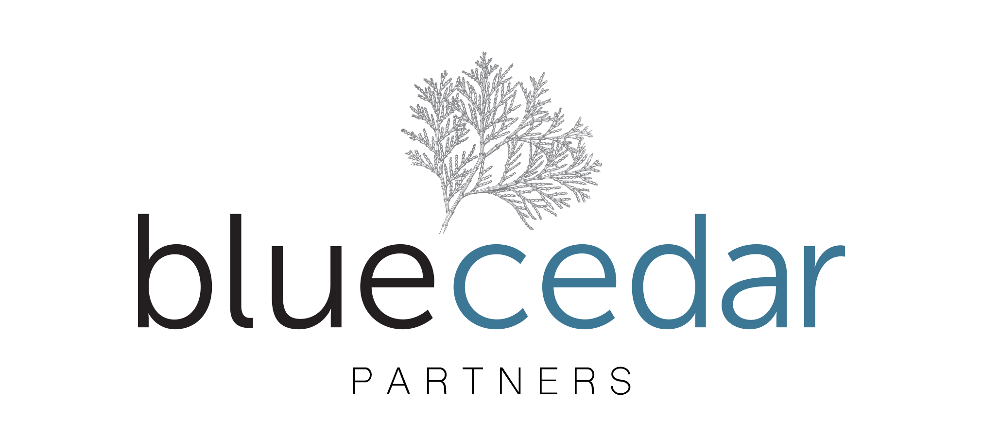 light Blue Cedar logo